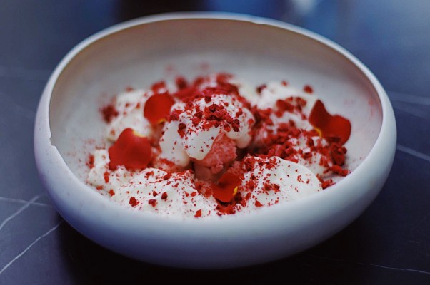 Pantera rosa en Kuna