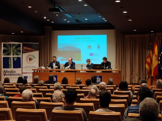 Orihuela presenta el Plan Director para el mantenimiento y adecuación del Palmeral 