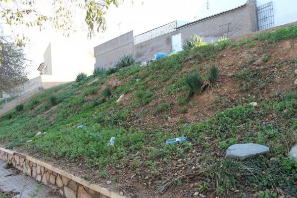 Parques y jardines en estado de abandono y dejadez, una imagen cada vez más habitual en Cartagena
