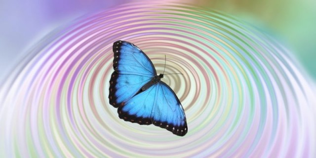 La muerte de las mariposas