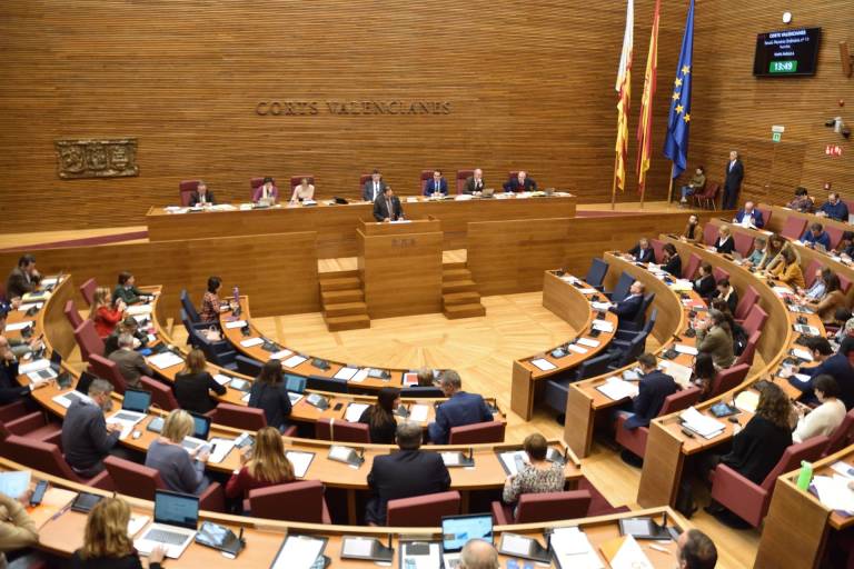 El pleno de Les Corts votará si investiga las ayudas al hermano de Ximo Puig
