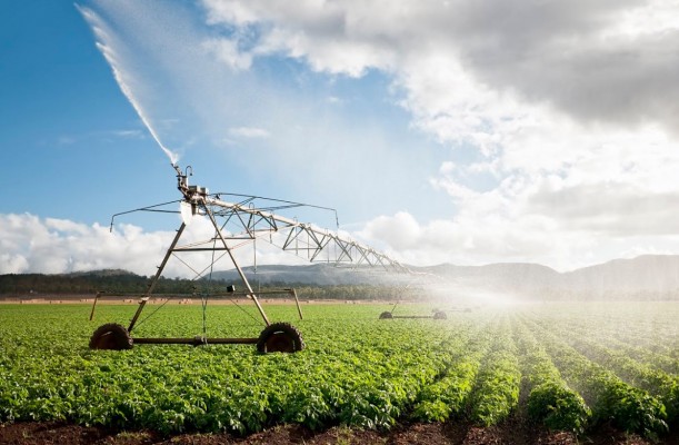 El PSOE defiende labor de Planas para mejorar las condiciones de los agricultores 