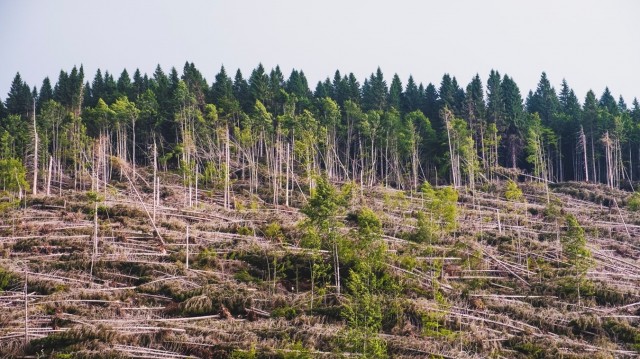 Expertos en medio ambiente debatirán en Borriana sobre problemas climáticos y de consumo