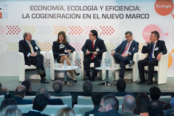 La patronal de la cogeneración alega contra la orden estatal que recorta 459 millones en ingresos