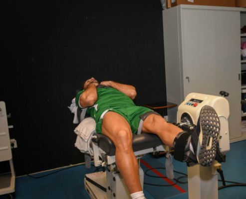 El Elche de Vicente Mir inicia hoy los entrenamientos