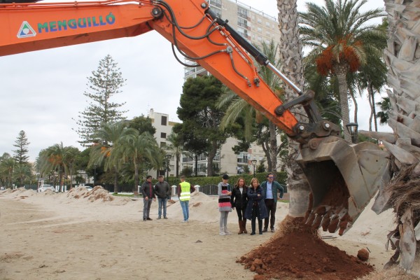 Benicàssim reutiliza la posidonia que sacó del mar 'Gloria' como fertilizante y para las caballerizas