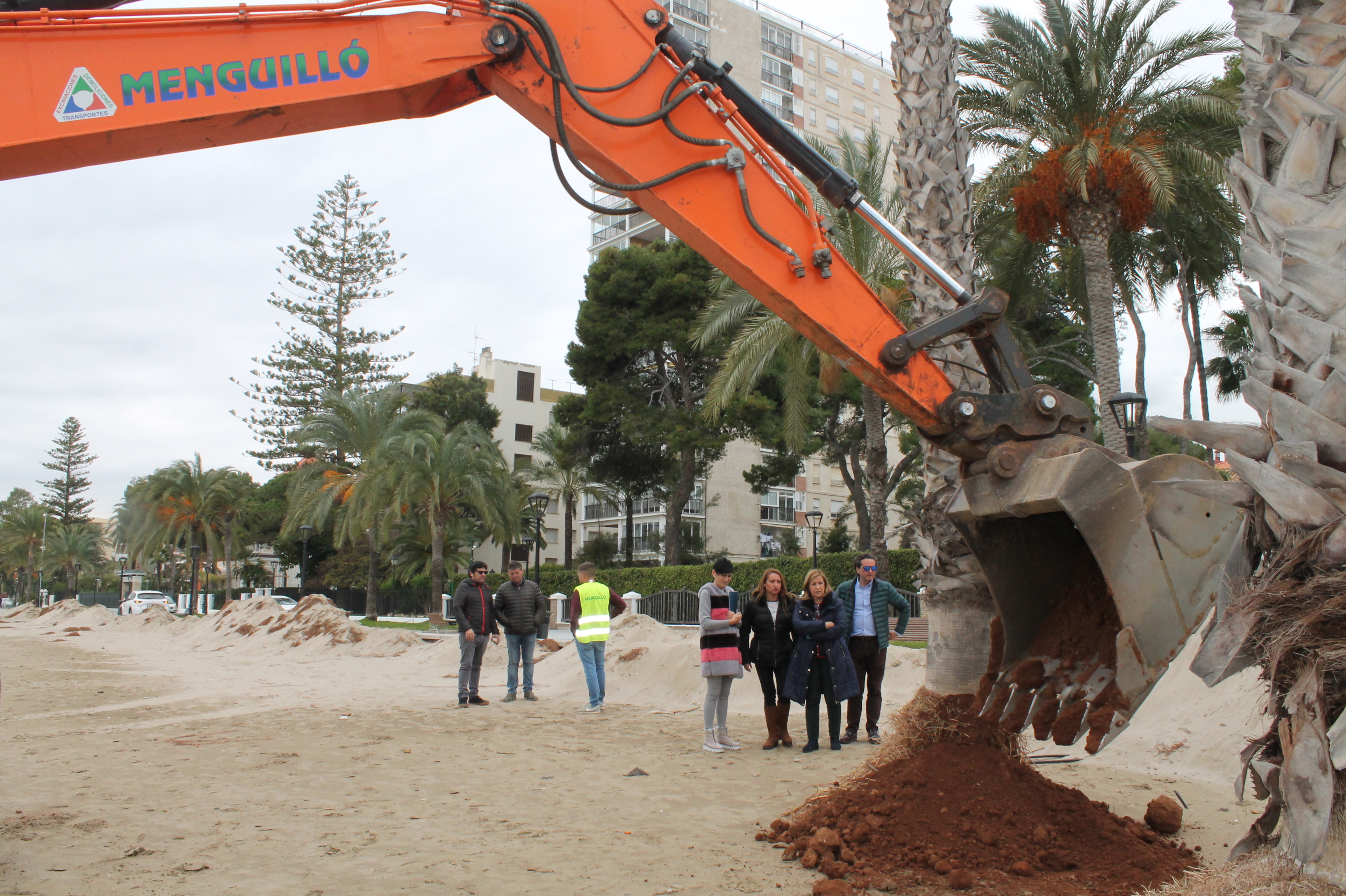 Benicàssim reutiliza la posidonia que sacó del mar 'Gloria' como fertilizante y para las caballerizas