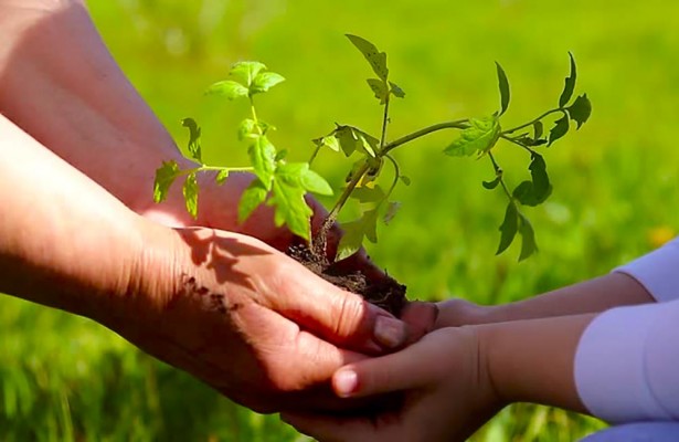 Buenas prácticas agrícolas para adaptarse y combatir el cambio climático

