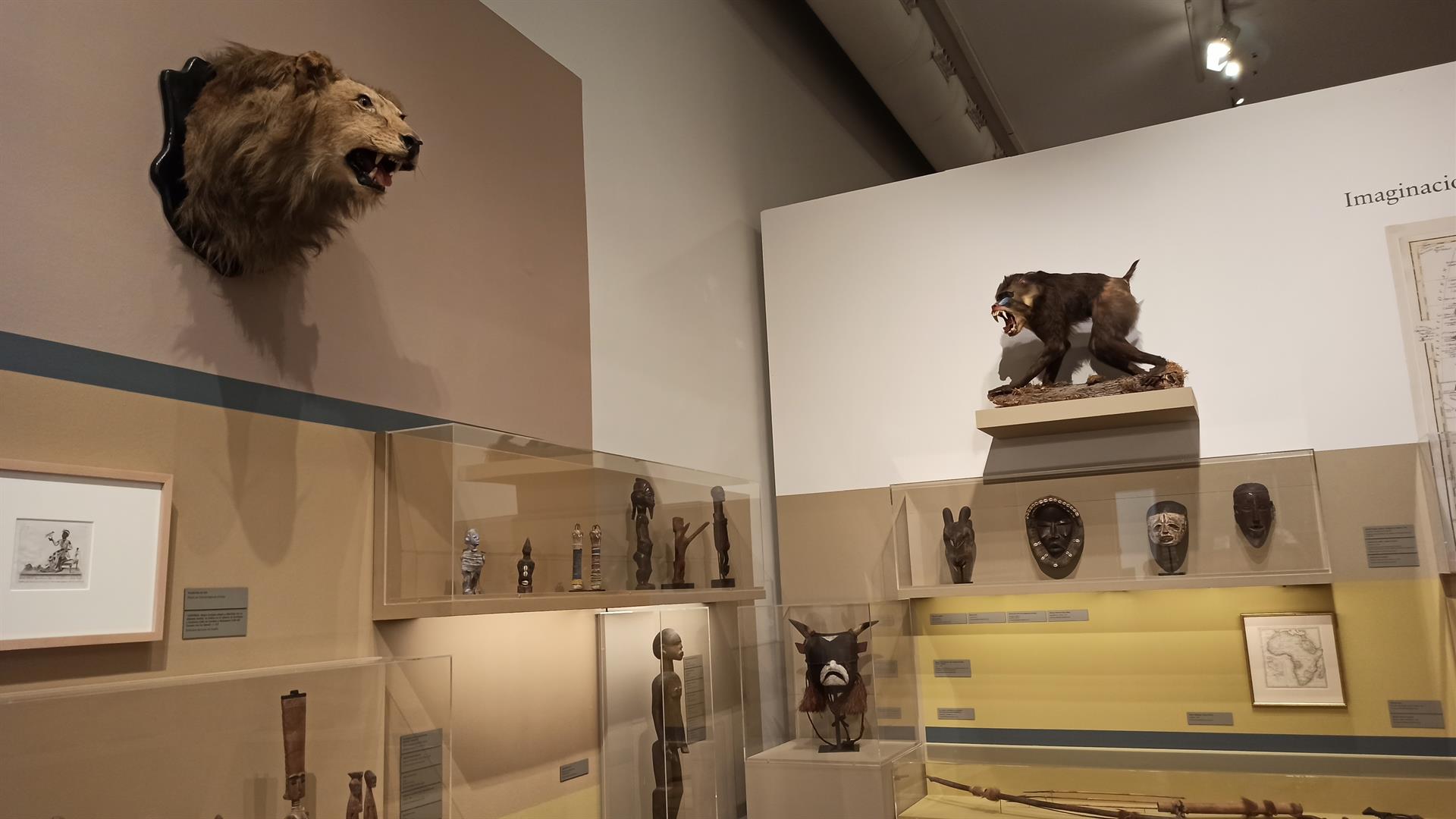 Exposición 'Let's bring back home' - 