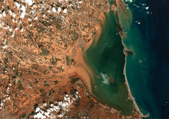 La 'sopa verde' vuelve a acechar al Mar Menor: el agua dulce sigue ahogando la laguna