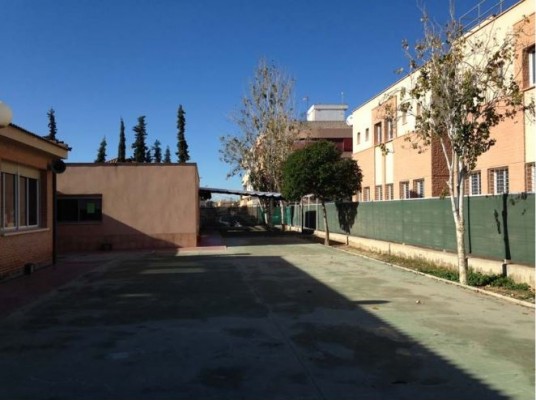 La Conselleria adjudica la construcción de un comedor en el CEI La Paz de Bigastro por 254.000 euros