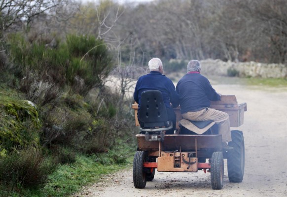 España pide 302 millones a la UE en el marco del régimen de ayudas de frutas y hortalizas