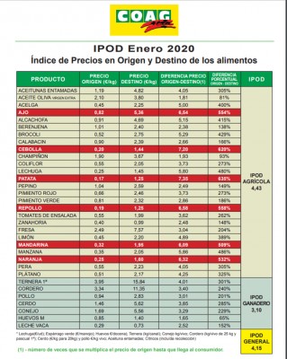 Los precios de los alimentos en enero se cuadriplicaron del campo a la mesa 