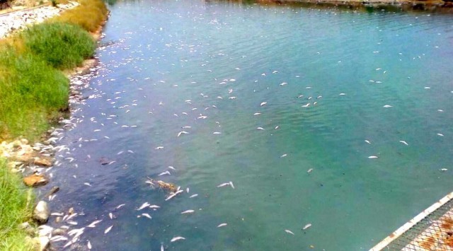 Nazaret estalla: la alcantarilla de València es el tramo del Oceanogràfic al puerto