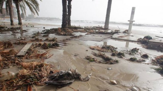 La playa del Pinar de Castelló retrocede hasta 32 metros por el paso de Gloria