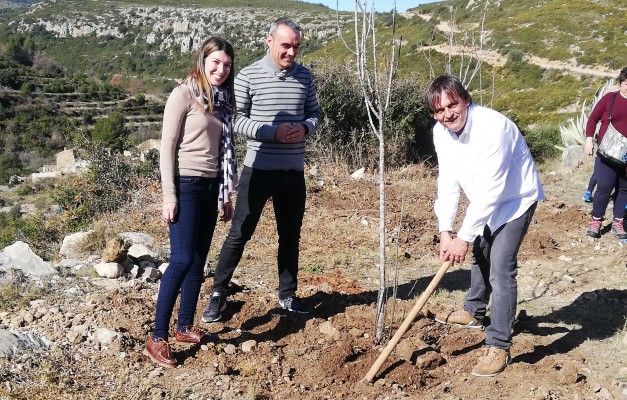 Diputación y escolares del CRA Penyagolosa celebran el Día del Árbol plantando especies autóctonas