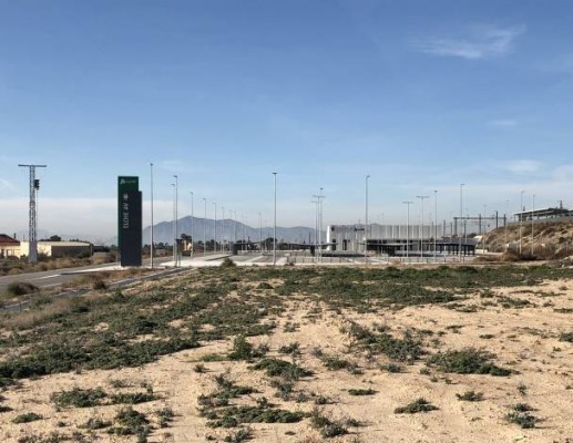 El alcalde de Elche pedirá entrevista con Fomento por la parada que el AVE a Madrid efectuará en Alicante