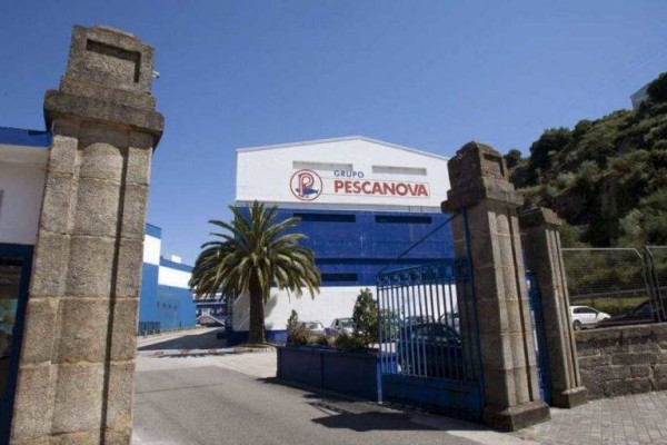 La 'vieja' Pescanova se sacude los 'números rojos' en el primer semestre de su ejercicio fiscal


