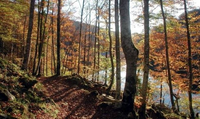 Medio Ambiente somete a consulta previa ciudadana el borrador de la nueva Ley de Espacios Naturales Protegidos