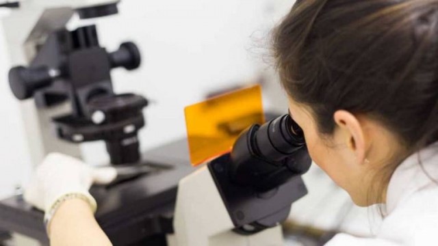Desarrollan un nuevo compuesto que podría ser eficaz contra el cáncer de ovario
