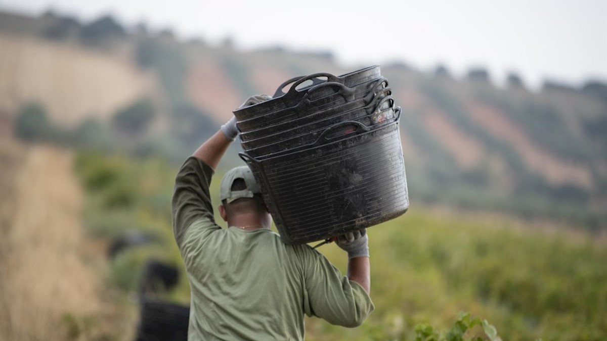 Castellón cierra 2019 con 242.800 trabajadores, la cifra más alta de la década a final de año