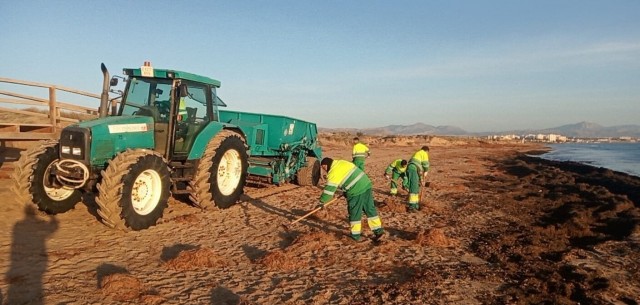 Elche cifra en cuatro millones los daños de la borrasca Gloria en su franja litoral