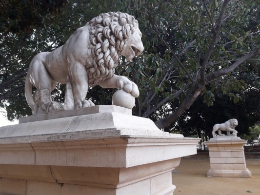 Los leones de Canalejas