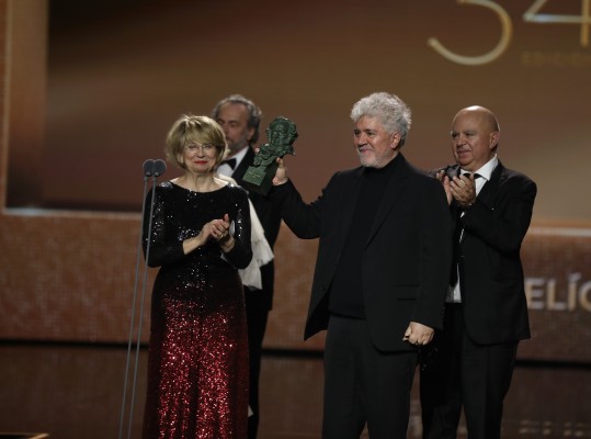 'Dolor y Gloria' reina en los Goya de Málaga con siete cabezones de los 16 a los que aspiraba