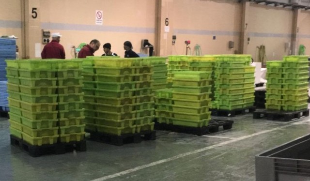 'Gloria' llena las redes de pesca de los trasmallos de la provincia, que multiplican sus capturas 