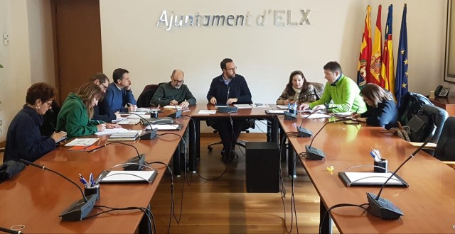Desciende el picudo rojo y aumenta ligeramente la paysandisia en Elche
