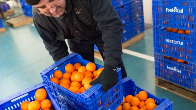 La naranja y la campaña comercial tiran de la afiliación en la provincia en el último trimestre de 2019