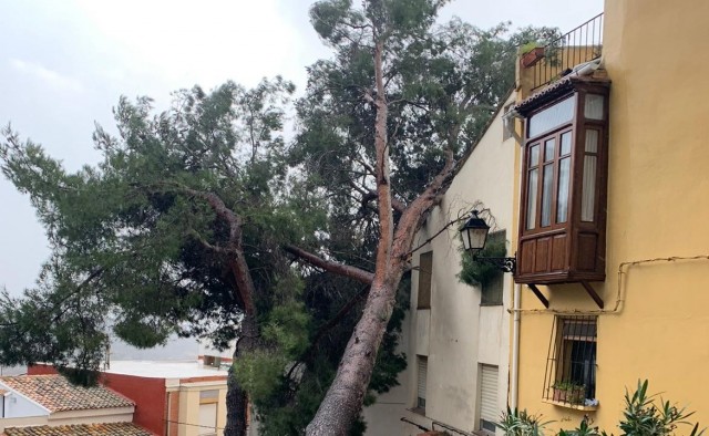 El temporal provoca desprendimientos de tejados y caídas de árboles y postes en Segorbe