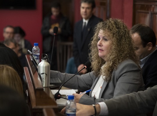 Cs avala la moción contra la corrupción del resto de grupos en Diputación al no sacar adelante la suya