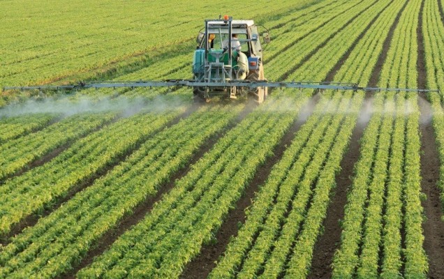 Información Agraria. Semana 3, año 2020