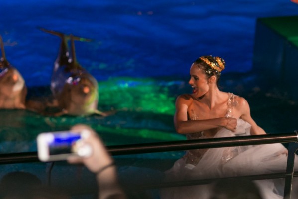 Más de 1.500 personas acuden al estreno de 'Las Noches del Oceanogràfic' 
