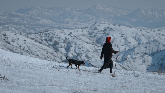 'Honeyland', el documental macedonio que
competirá en los Oscar es un clásico instantáneo