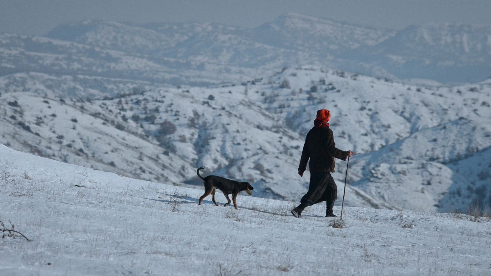 'Honeyland', el documental macedonio que
competirá en los Oscar es un clásico instantáneo