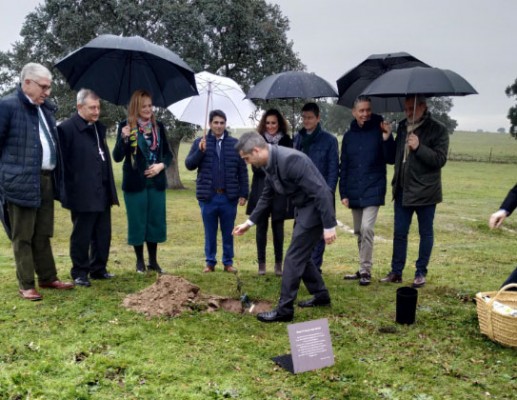 Soltec suministrará 10.000 seguidores solares para una megaplanta de 300 MW en Cáceres