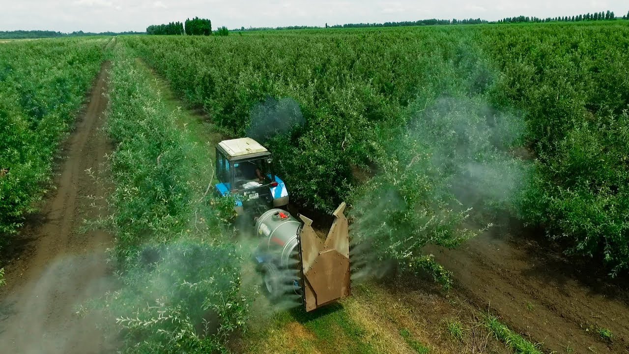 La Unió critica el doble rasero de la UE al permitir la llegada de productos con clorpirifós