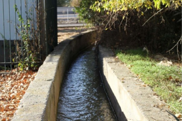 Castelló tiene casi tantas hectáreas de fincas rústicas abandonadas como en uso agrícola
