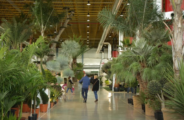 Ecoalicante, la nueva feria que se une a los 23 certámenes del Calendario de Ifa 2020
