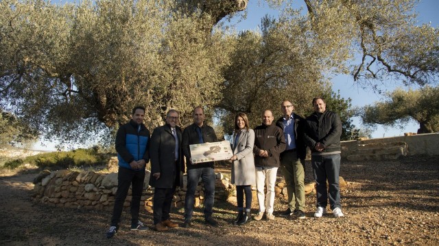 La Diputación eleva a 40.000 euros el presupuesto para la conservación de árboles monumentales