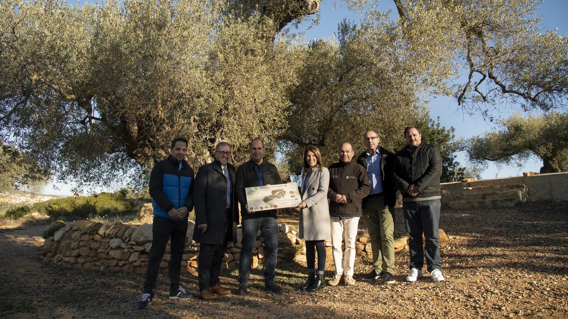 La Diputación eleva a 40.000 euros el presupuesto para la conservación de árboles monumentales