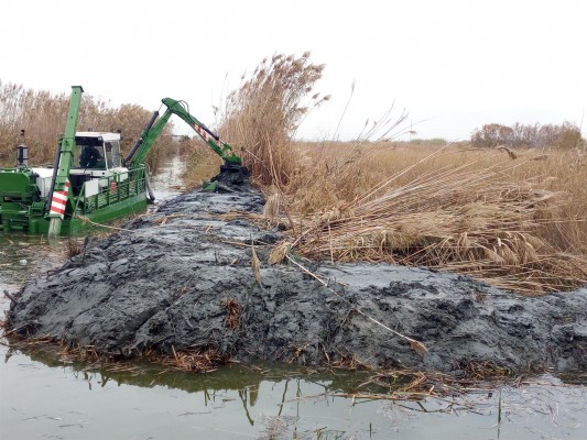 València retoma el dragado y desbroce de l'Albufera en 6 kilómetros más de canales y acequias