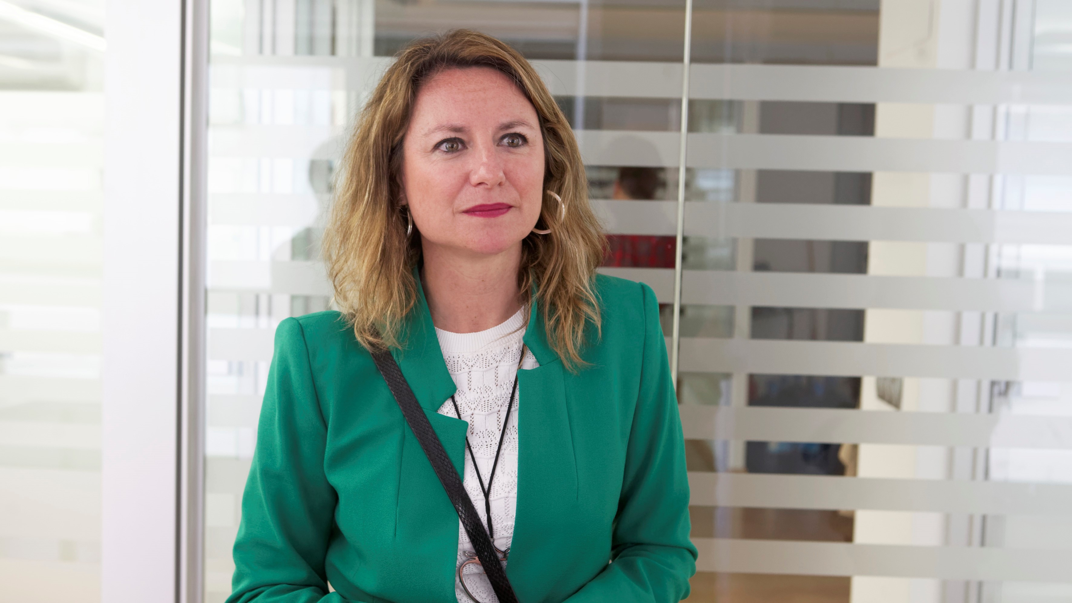 El PP denuncia que PSOE, Compromís y Podem-EUPV siguen 