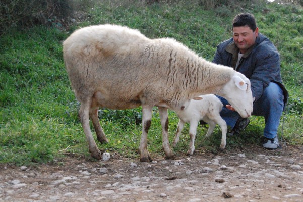 La Unió denuncia que los agricultores y ganaderos valencianos están a la cola de ingresos en España