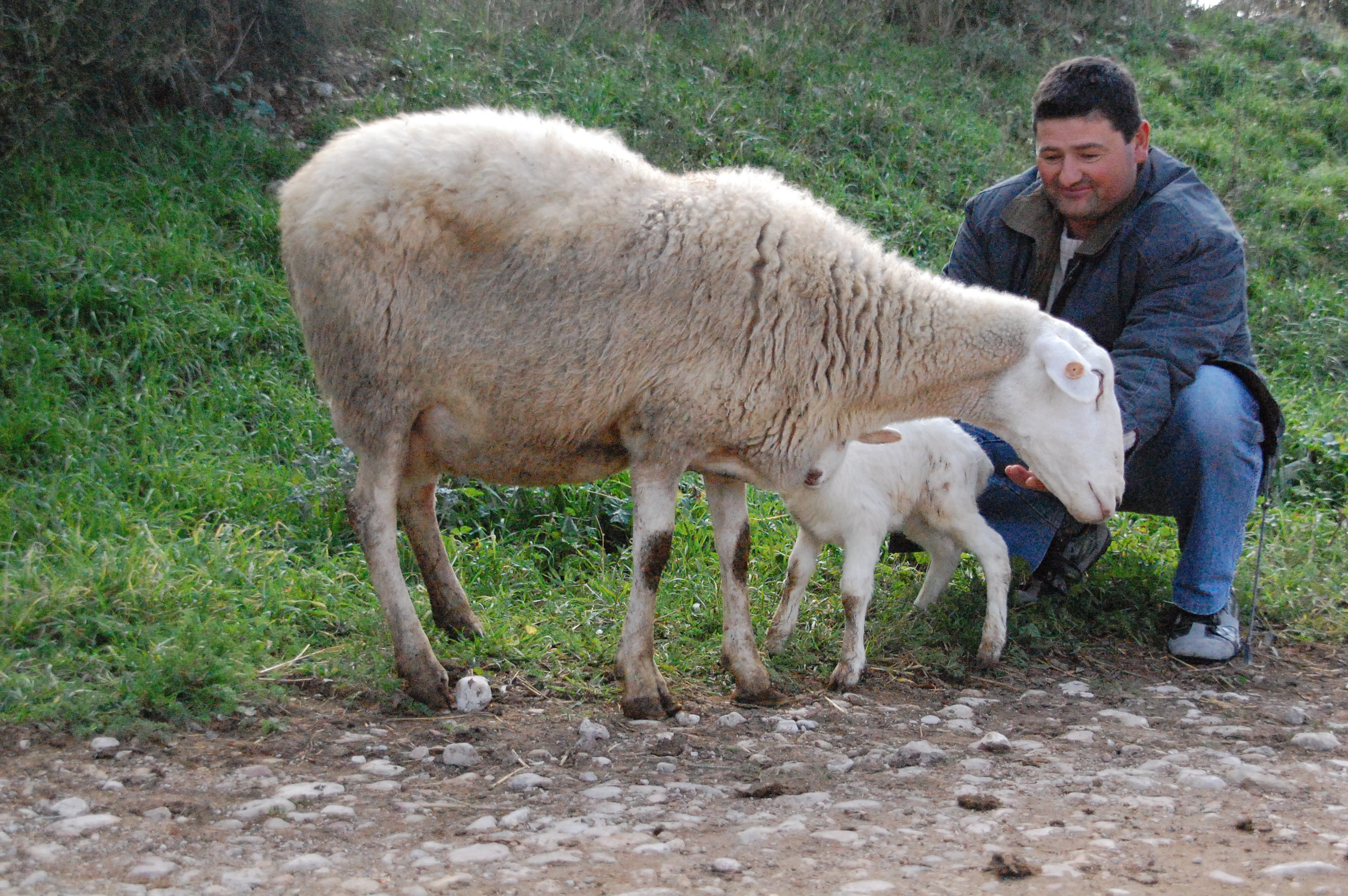 La Unió denuncia que los agricultores y ganaderos valencianos están a la cola de ingresos en España