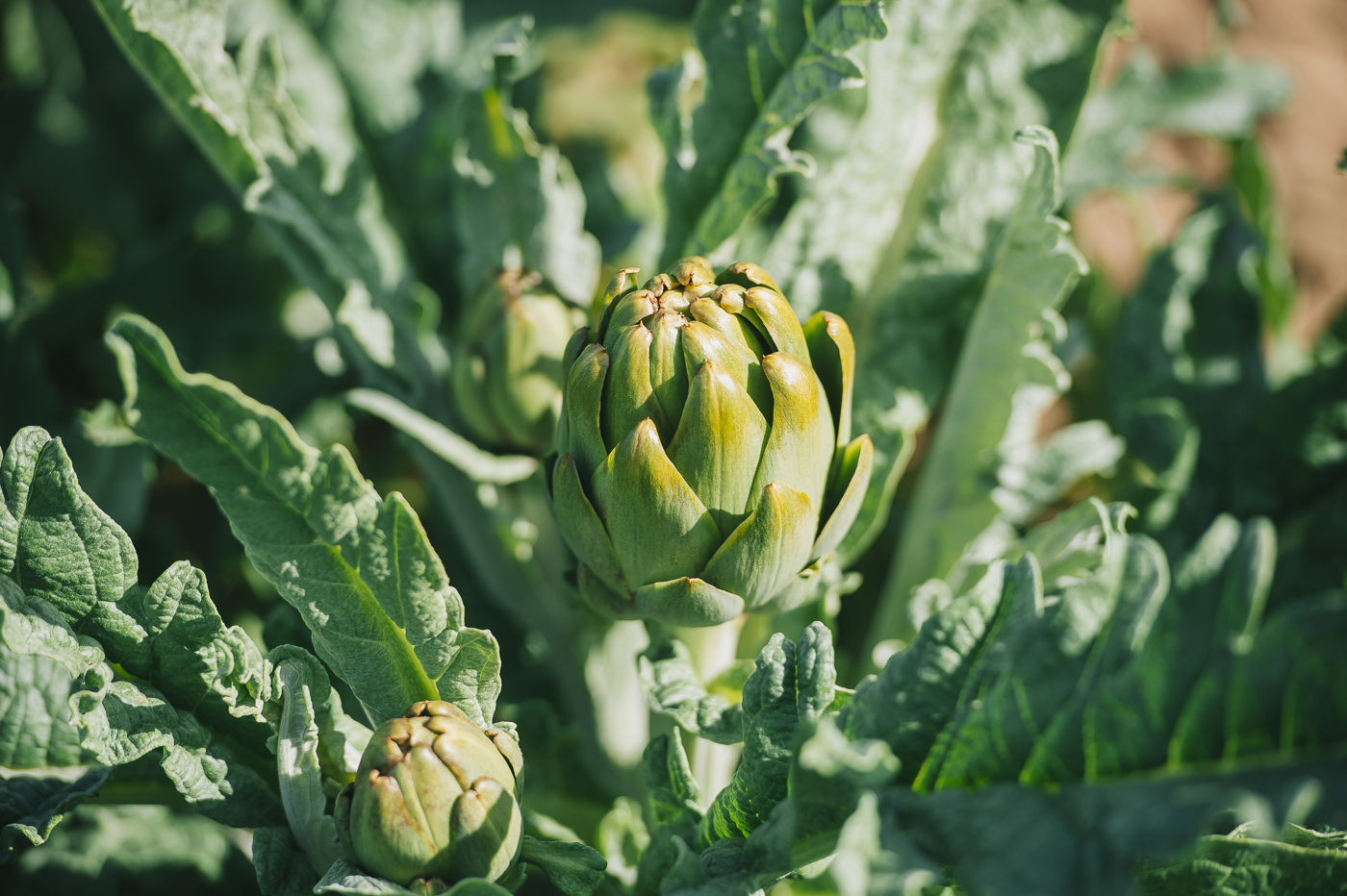 Foto: KIKE TABERNER - 