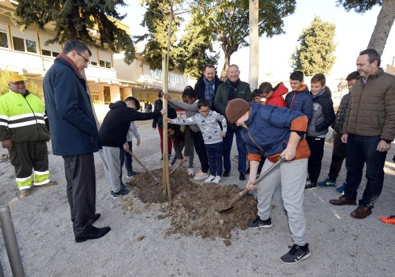 El objetivo de alcanzar los 200.000 árboles en Murcia da otro paso más en Llano de Brujas