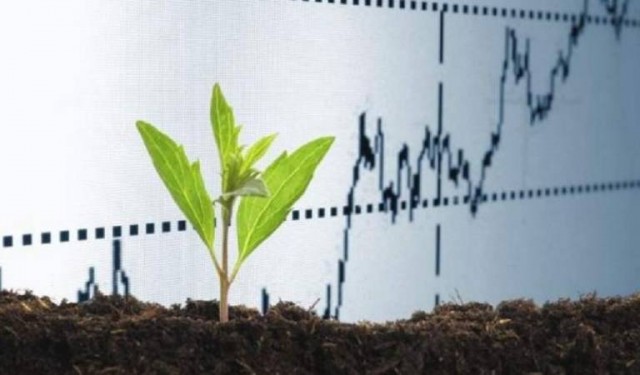 El Tesoro Público prevé emitir 'bonos verdes' a 20 años en la segunda parte del presente ejercicio